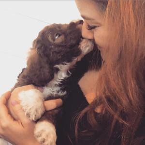 Meet your Posher, Daniella